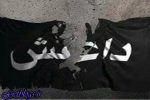 ۱۱ عنصر تسلیم شدند ، ۲۲ داعشی در ننگرهار افغانستان به هلاکت رسیدند
